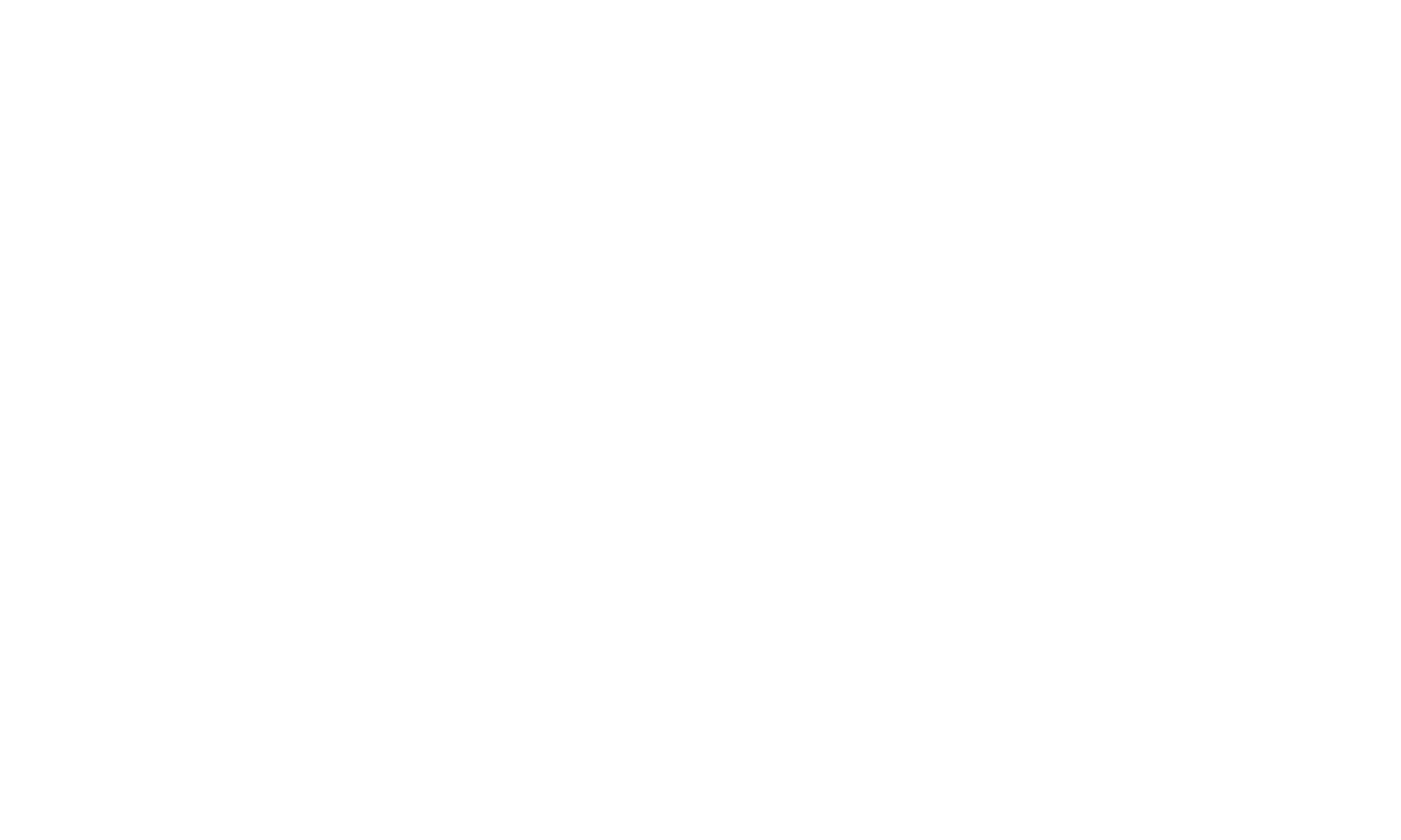 Babyfoot Toulet logo blanc